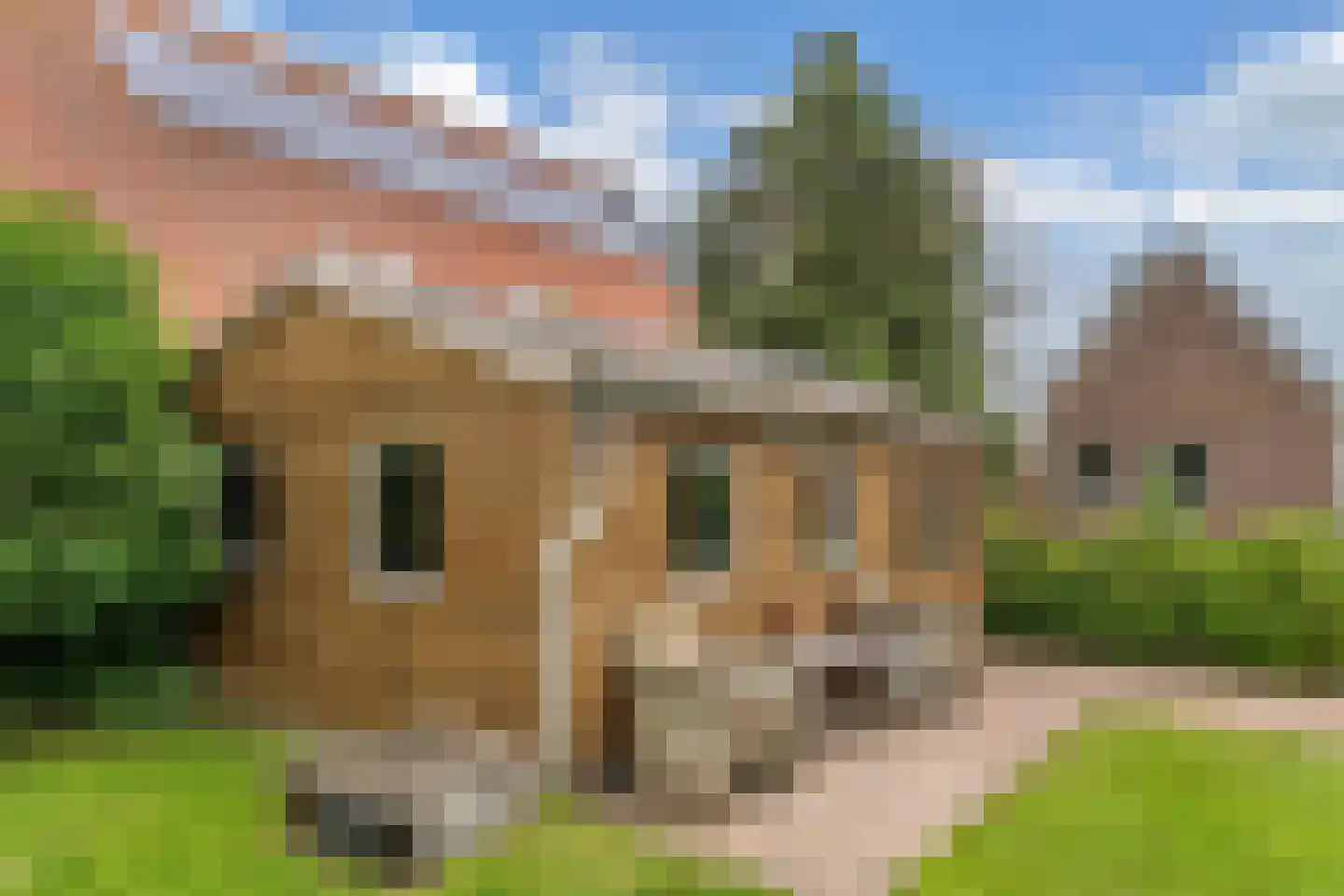 Ige Galamawei 25 Oudega thumbnail 58
