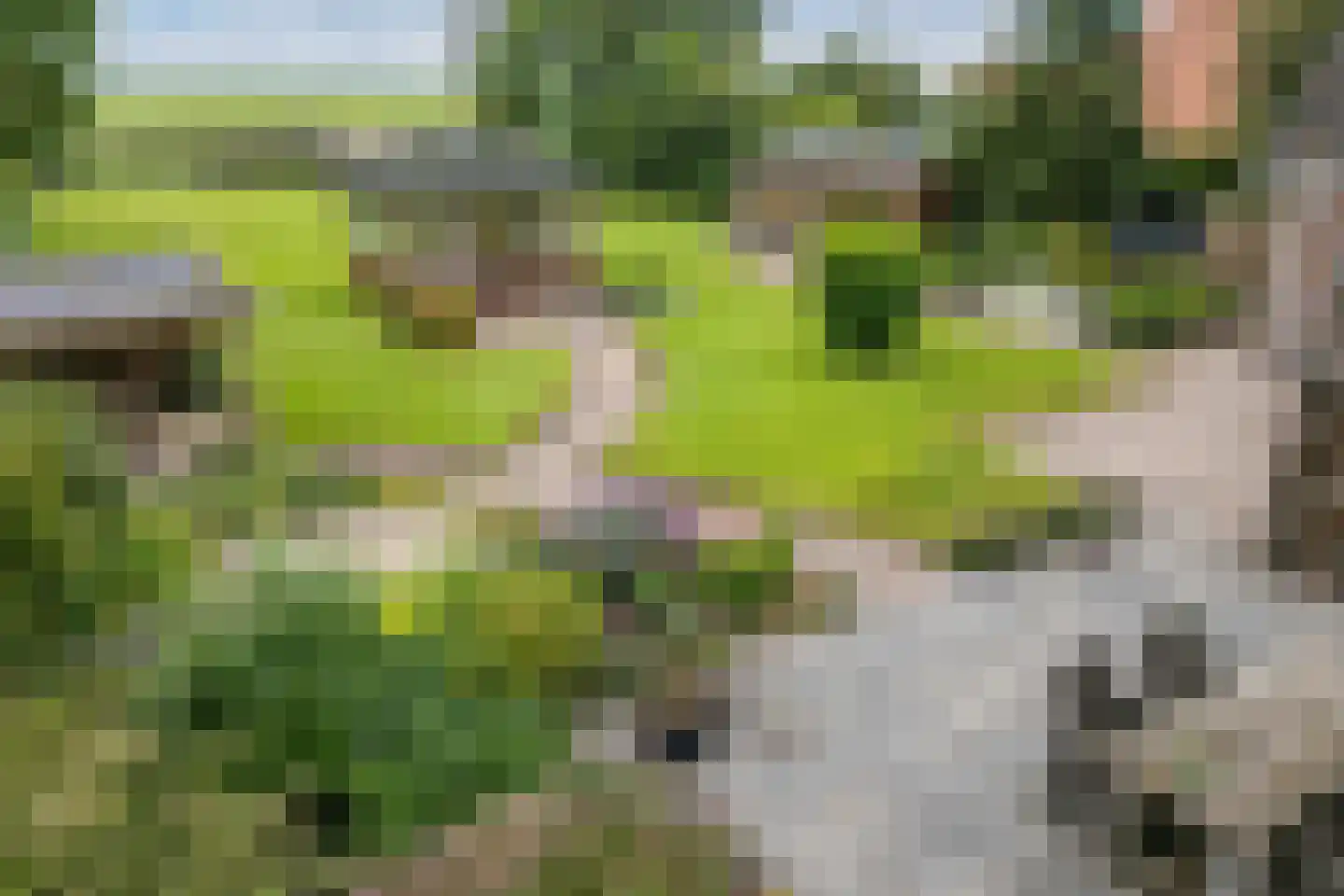 Ige Galamawei 25 Oudega thumbnail 62