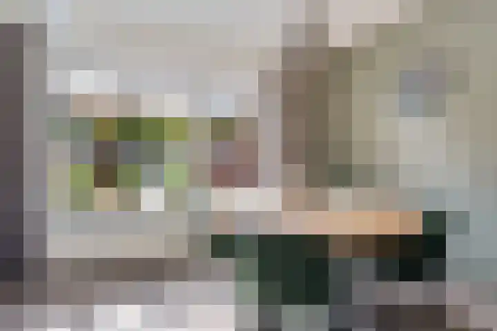 Iglo Tademastraat 18 Creil thumbnail 11