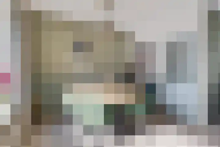 Iglo Tademastraat 18 Creil thumbnail 12