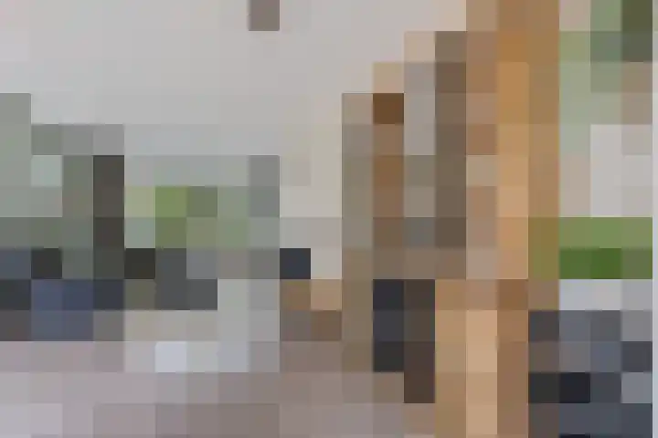 Iglo Tademastraat 18 Creil thumbnail 13