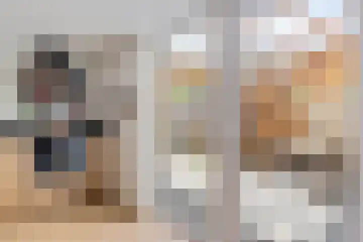Iglo Tademastraat 18 Creil thumbnail 17