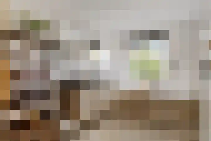 Iglo Tademastraat 18 Creil thumbnail 19