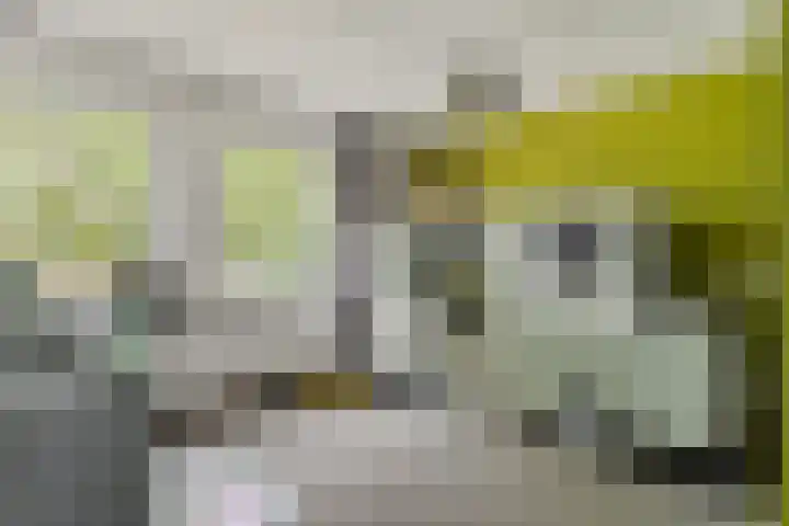 Iglo Tademastraat 18 Creil thumbnail 20