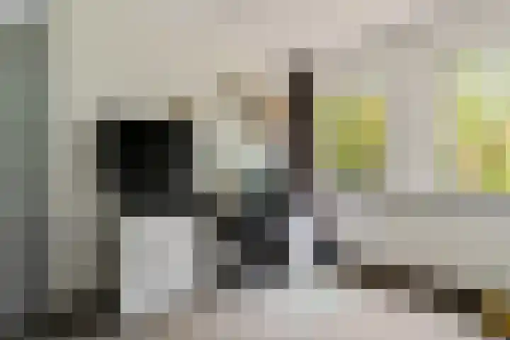 Iglo Tademastraat 18 Creil thumbnail 21