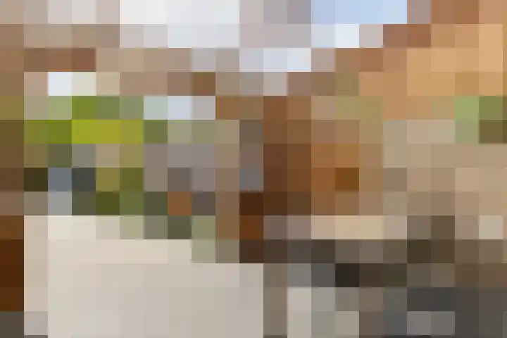 Iglo Tademastraat 18 Creil thumbnail 29
