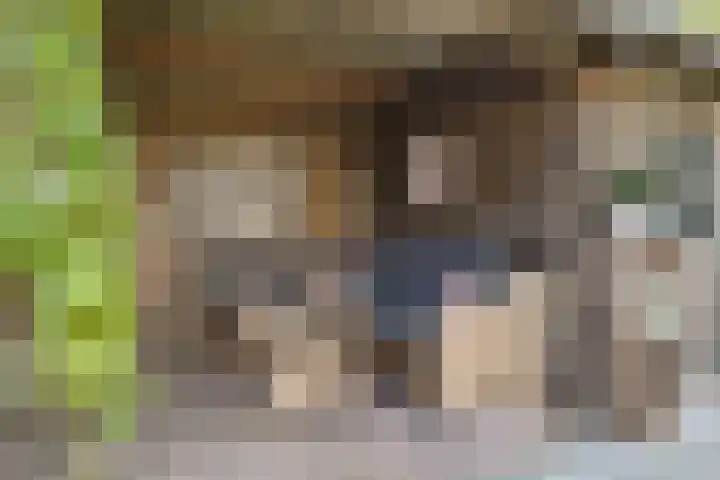 Iglo Tademastraat 18 Creil thumbnail 33