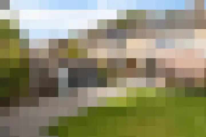 Iglo Tademastraat 18 Creil thumbnail 34