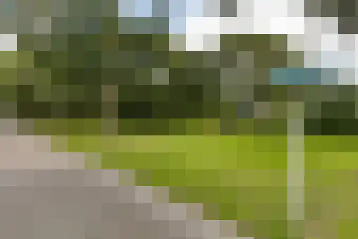 Iglo Tademastraat 18 Creil thumbnail 35