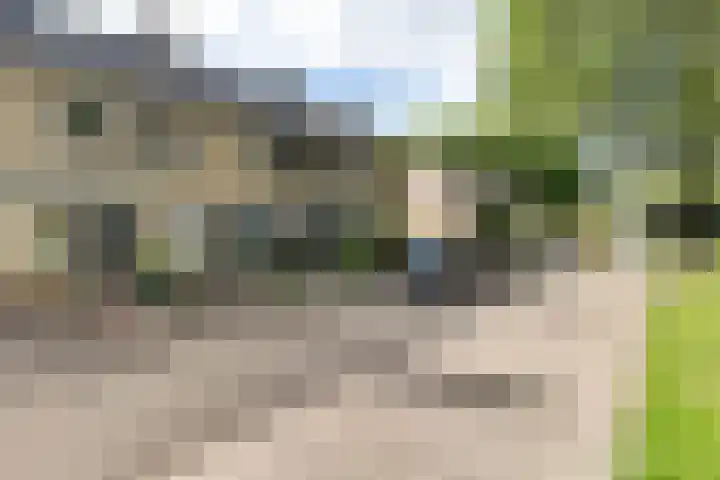 Iglo Tademastraat 18 Creil thumbnail 4
