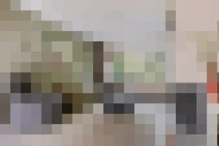 Iglo Tademastraat 18 Creil thumbnail 7