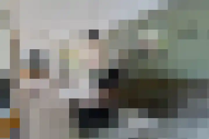 Iglo Tademastraat 18 Creil thumbnail 9