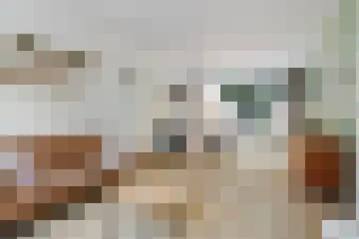 Iglo Tademastraat 39 Creil thumbnail 10