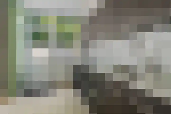Iglo Tademastraat 39 Creil thumbnail 18