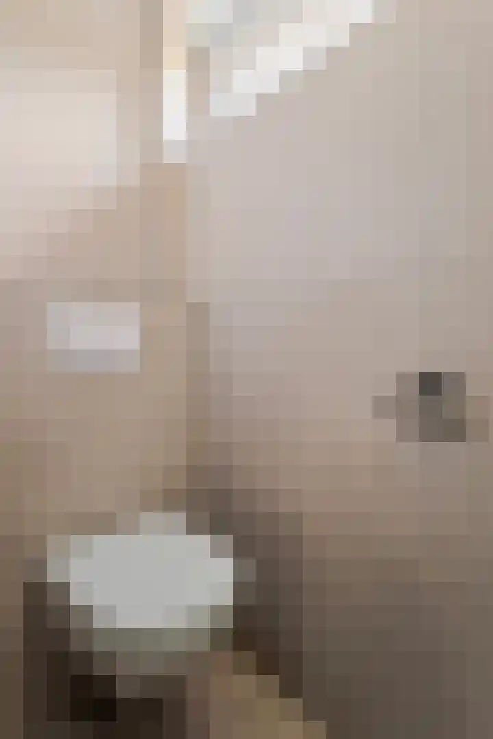 Iglo Tademastraat 39 Creil thumbnail 23