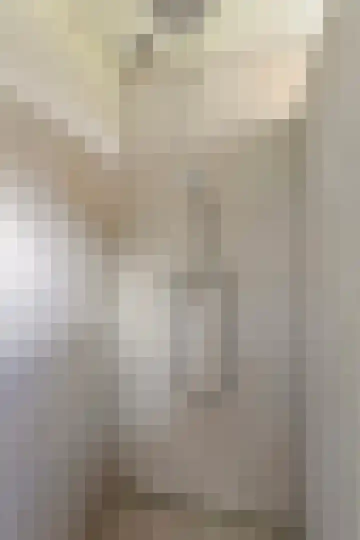 Iglo Tademastraat 39 Creil thumbnail 26