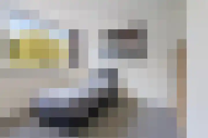Iglo Tademastraat 39 Creil thumbnail 28