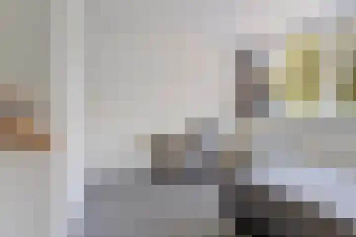 Iglo Tademastraat 39 Creil thumbnail 29