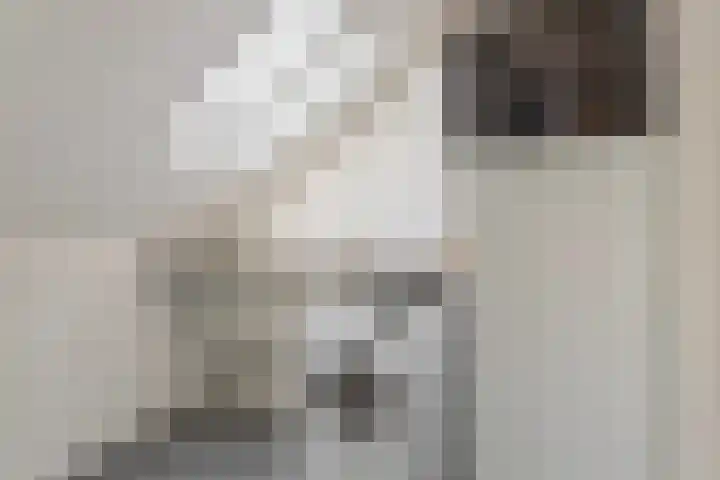 Iglo Tademastraat 39 Creil thumbnail 35