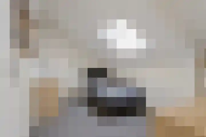 Iglo Tademastraat 39 Creil thumbnail 36