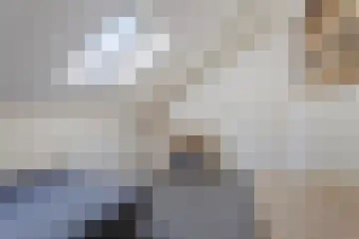 Iglo Tademastraat 39 Creil thumbnail 37