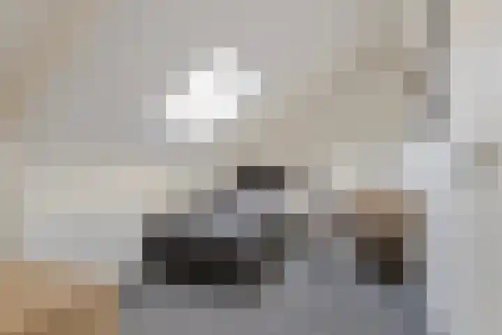 Iglo Tademastraat 39 Creil thumbnail 38