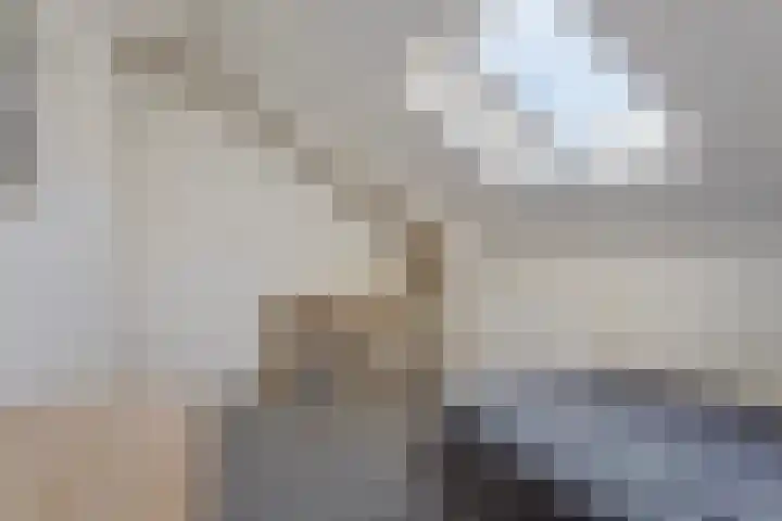 Iglo Tademastraat 39 Creil thumbnail 39