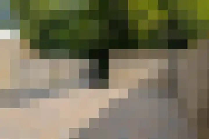 Iglo Tademastraat 39 Creil thumbnail 40