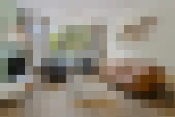 Iglo Tademastraat 39 Creil thumbnail 7