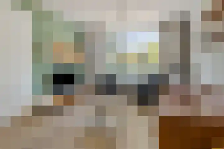 Iglo Tademastraat 39 Creil thumbnail 8
