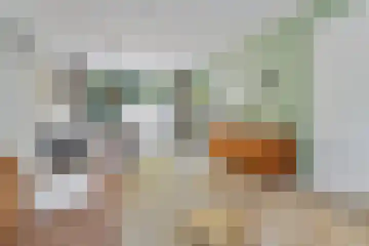 Iglo Tademastraat 39 Creil thumbnail 9