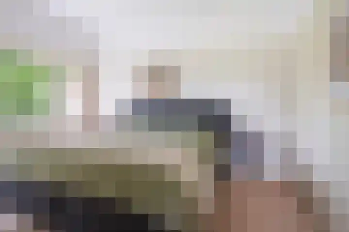 Ign. Bispincklaan 68 Bloemendaal thumbnail 21