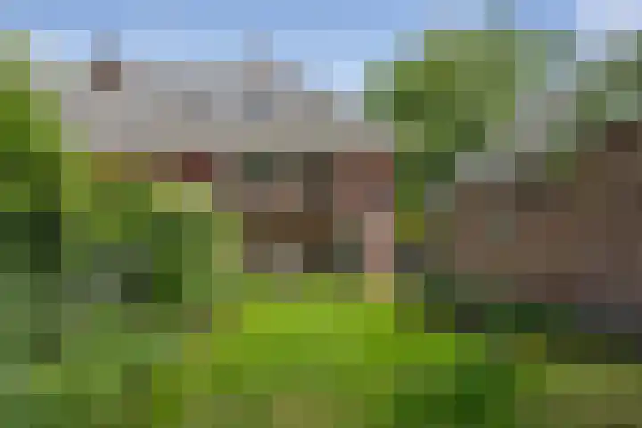 Ign. Bispincklaan 68 Bloemendaal thumbnail 34