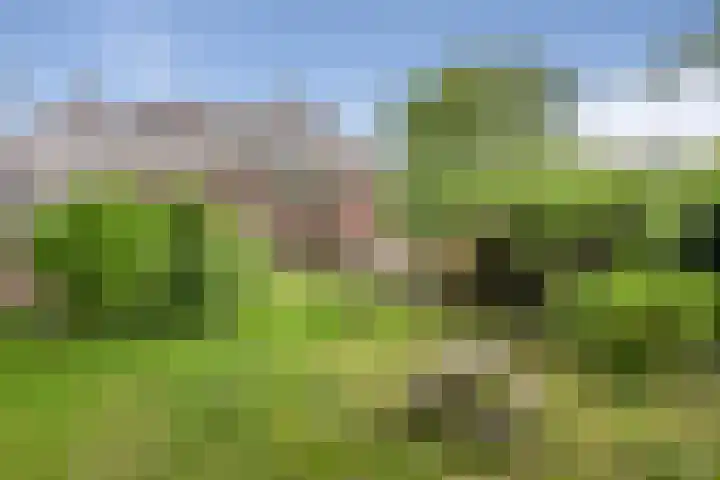 Ign. Bispincklaan 68 Bloemendaal thumbnail 35