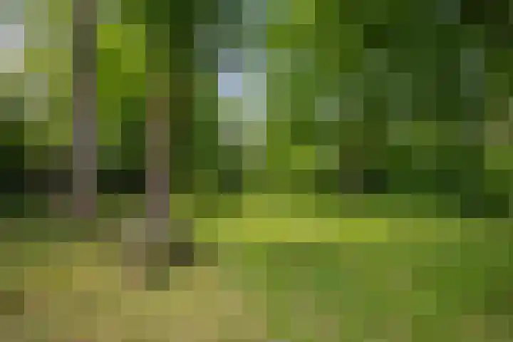 Ign. Bispincklaan 68 Bloemendaal thumbnail 36