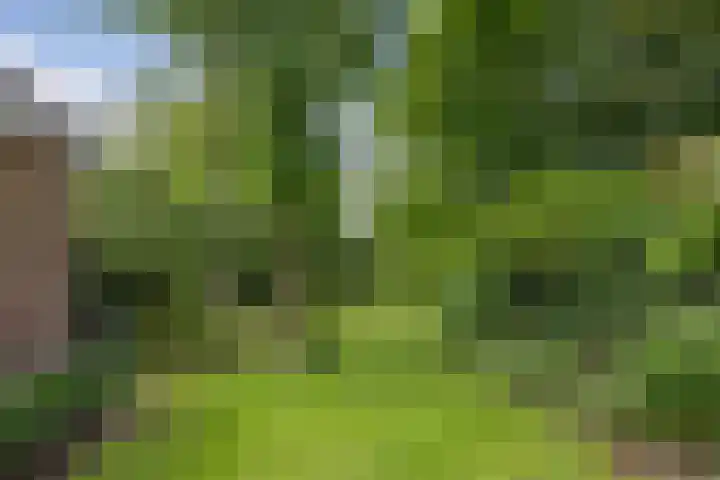 Ign. Bispincklaan 68 Bloemendaal thumbnail 37