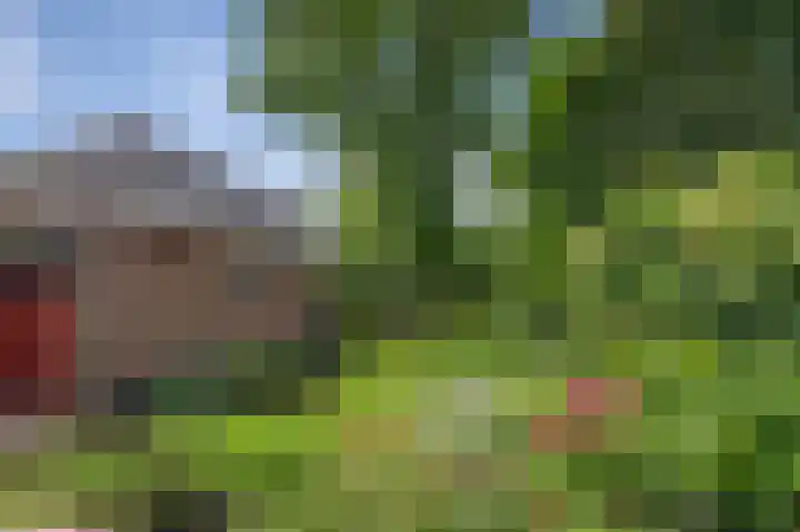 Ign. Bispincklaan 68 Bloemendaal thumbnail 38