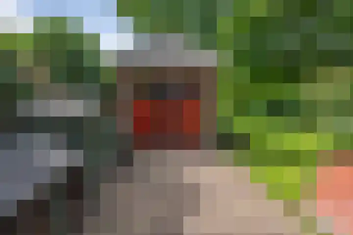 Ign. Bispincklaan 68 Bloemendaal thumbnail 39