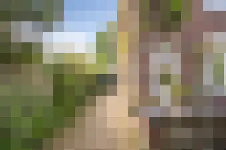 Ign. Bispincklaan 68 Bloemendaal thumbnail 41