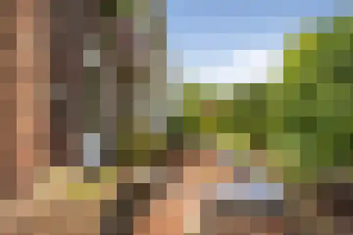 Ign. Bispincklaan 68 Bloemendaal thumbnail 42