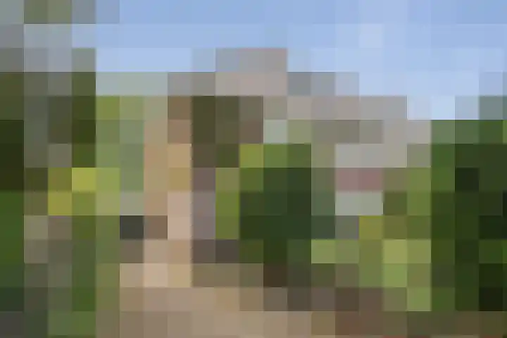 Ign. Bispincklaan 68 Bloemendaal thumbnail 43