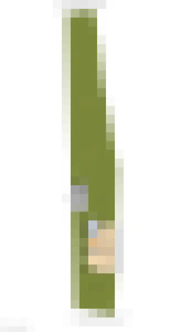 Ign. Bispincklaan 68 Bloemendaal thumbnail 47