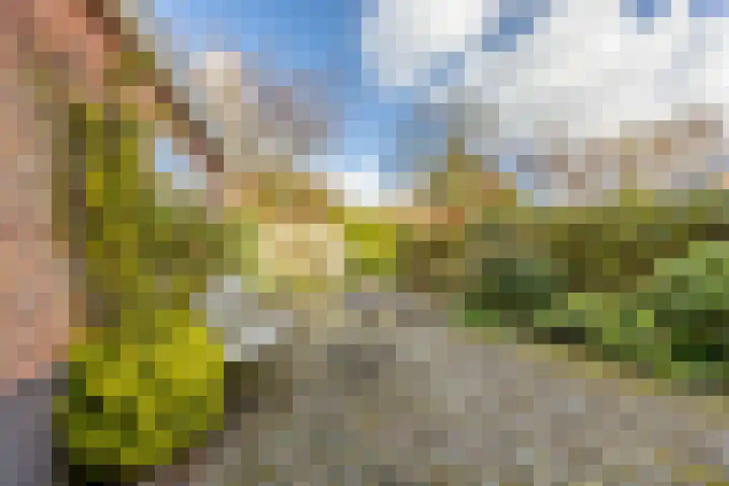 Ign. Bispincklaan 9 Bloemendaal thumbnail 12