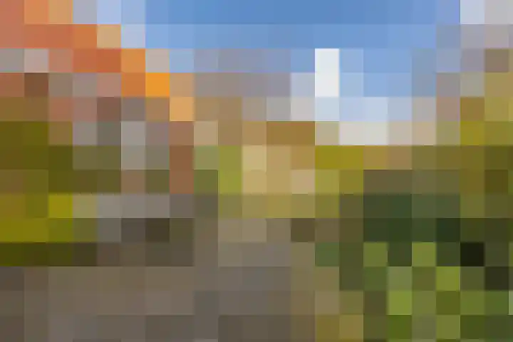 Ign. Bispincklaan 9 Bloemendaal thumbnail 13