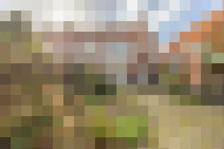 Ign. Bispincklaan 9 Bloemendaal thumbnail 14