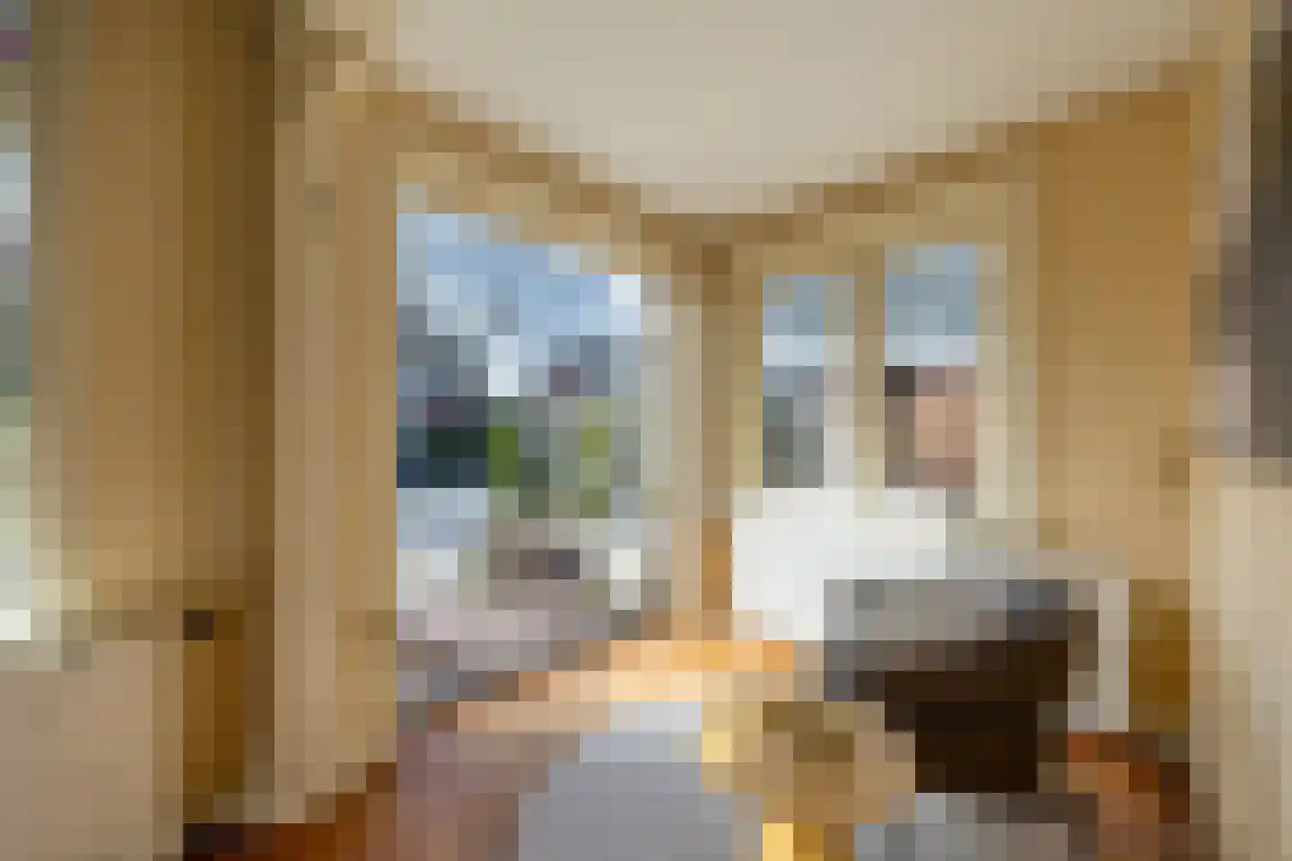 Ign. Bispincklaan 9 Bloemendaal thumbnail 4
