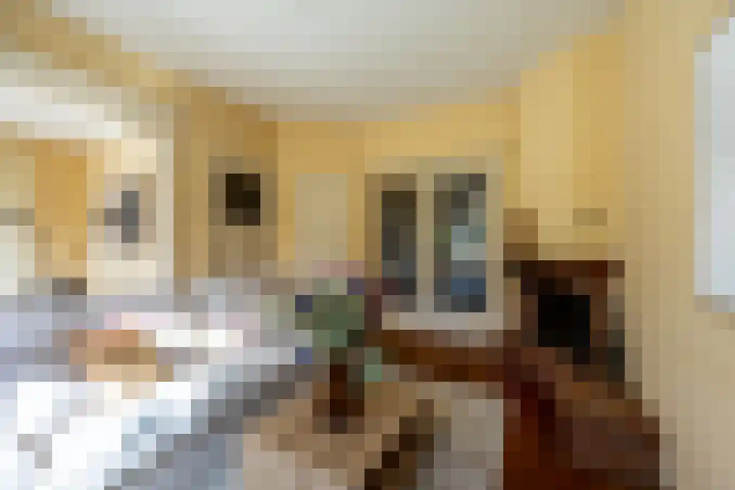 Ign. Bispincklaan 9 Bloemendaal thumbnail 6