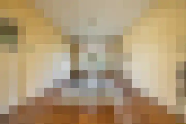 Ign. Bispincklaan 9 Bloemendaal thumbnail 7