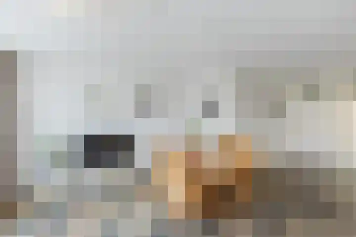 Igor Stravinskisingel 17 Rotterdam thumbnail 12