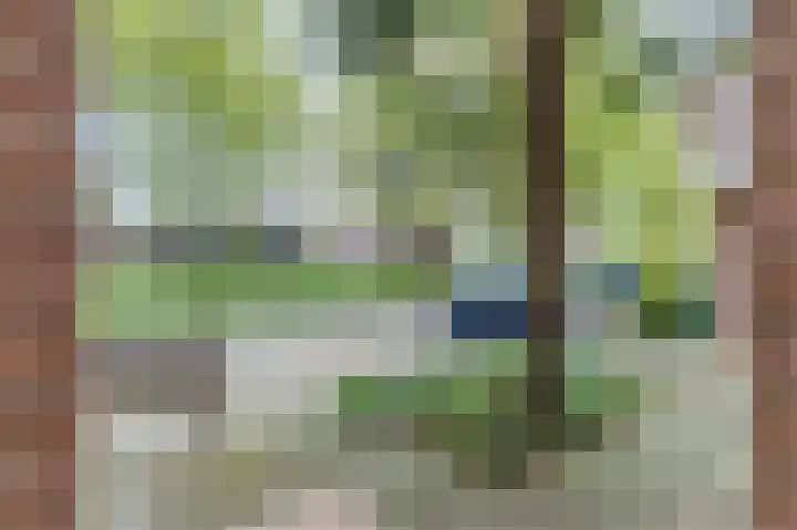 Igor Stravinskisingel 17 Rotterdam thumbnail 6